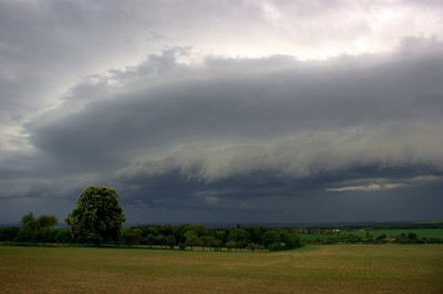 Arcus u N. Strašecí