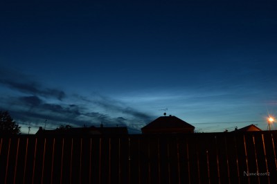 NLC-2.jpg